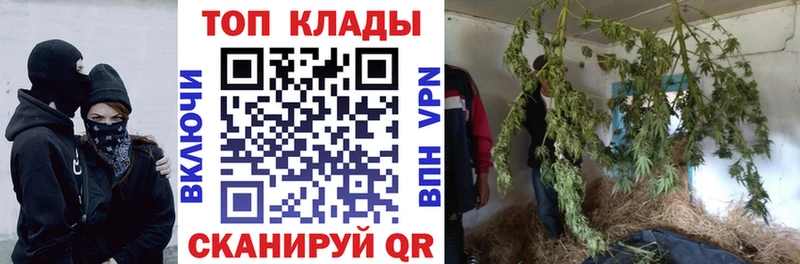 Как найти наркотики Ветлуга Героин СОЛЬ blacksprut онион Cocaine Каннабис АМФЕТАМИН МЕФ